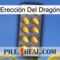 Erección Del Dragón cialis1